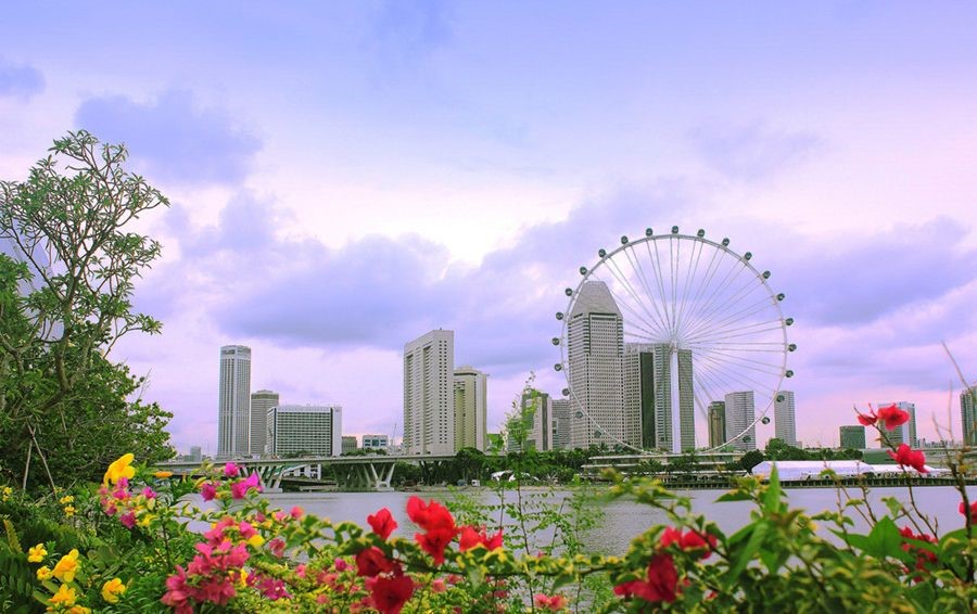 新加坡公司哪些情況需要進(jìn)行報(bào)稅?